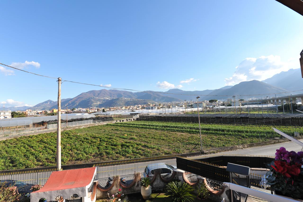 B&B Le Cycas Castellammare di Stabia Zewnętrze zdjęcie